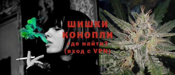 Альфа ПВП Магас