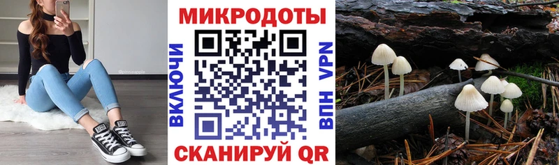 Галлюциногенные грибы прущие грибы Мышкин
